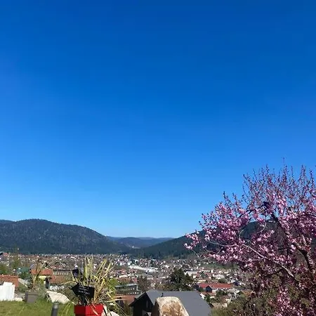 Apartment La Reine Pour Deux Personnes Avec Magnifique Vue Et Jacuzzi *