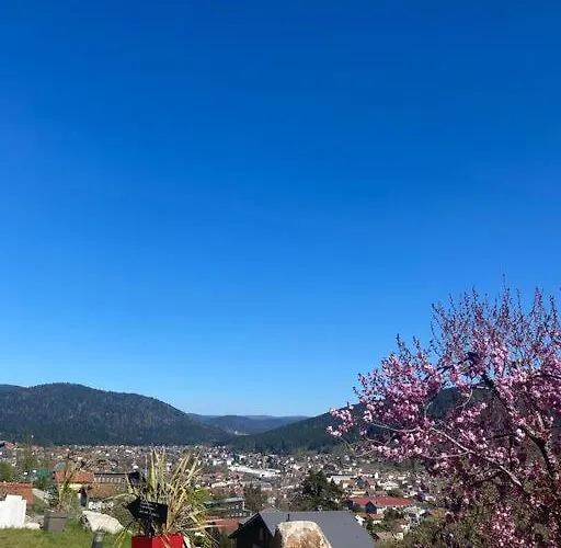 Appartement La Reine Pour Deux Personnes Avec Magnifique Vue Et Jacuzzi *